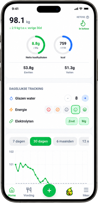 Bảng điều khiển Ketomi với macros và tiến độ